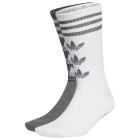 WHITE/DGREYH